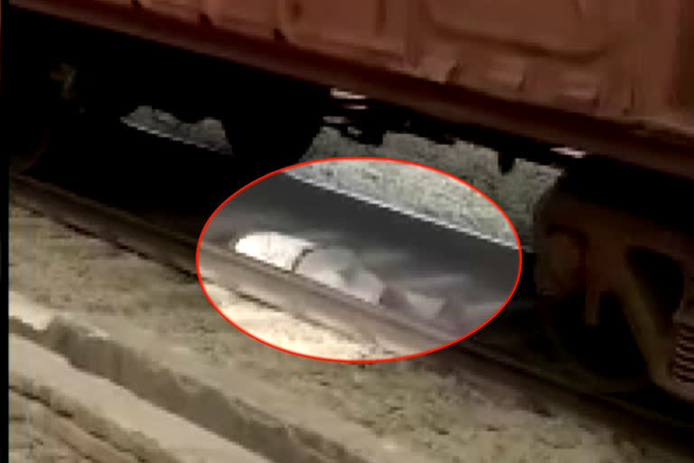 bihar news  jamui news  latest news  jamui railway station  The young man survived  A man stuck in railway track