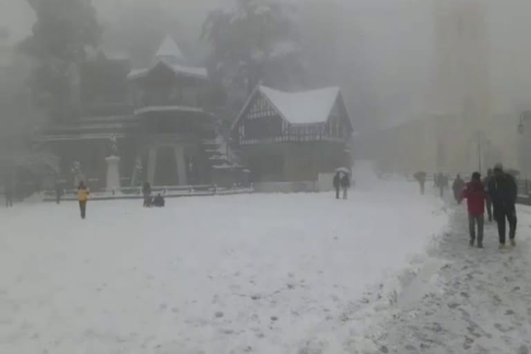 snowfall started in shimla