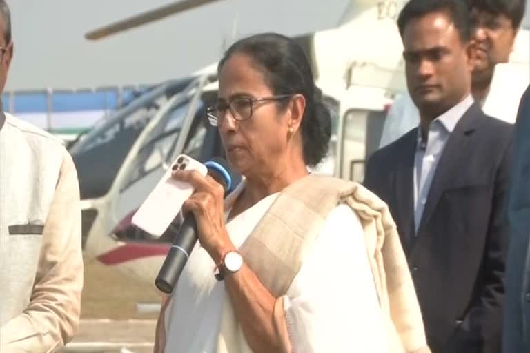 mamata