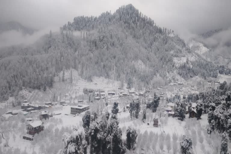 fresh snowfall in mandi