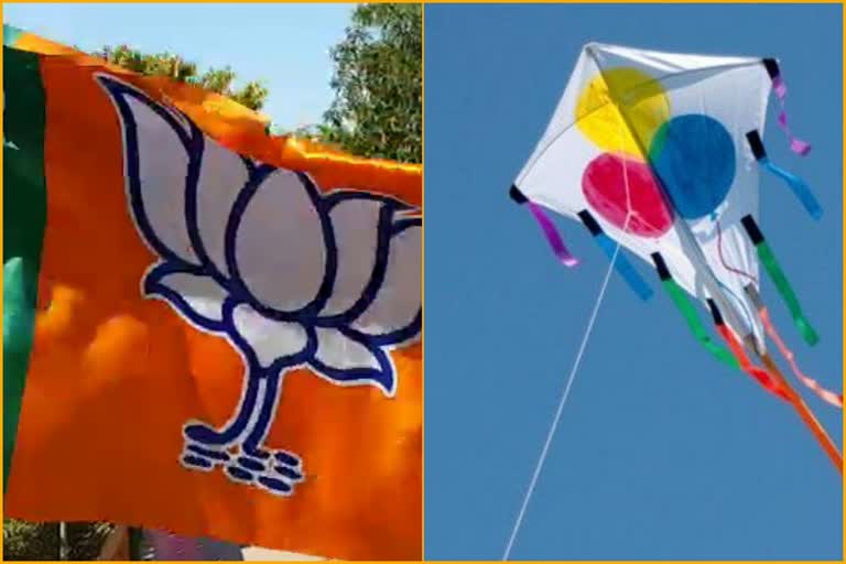 Kites in CAA support, नागरिकता संशोधन एक्ट