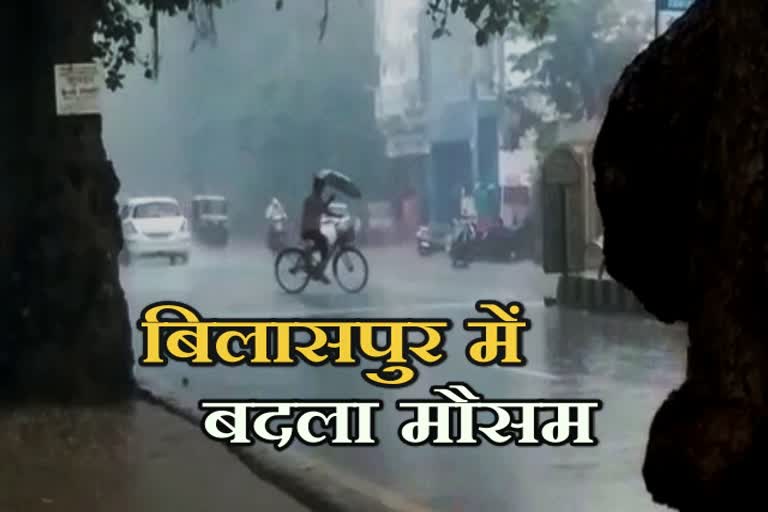 cold increases with rain in bilaspur