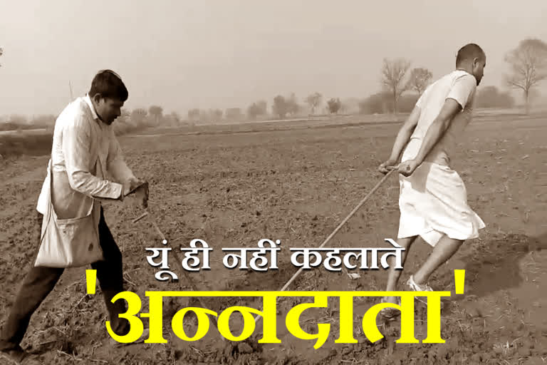 special report on rohtak farmers satish and suneel hardwork in his field