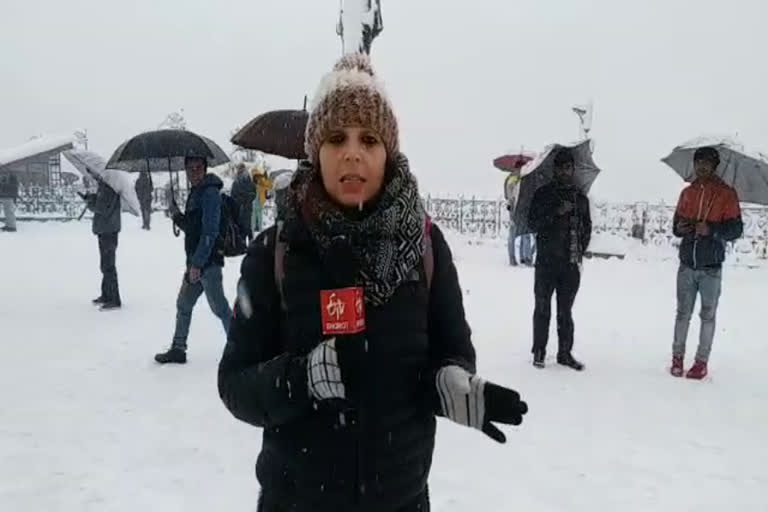 snowfall in shimla,शिमला में बर्फबारी