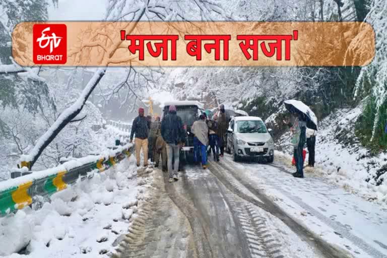 heavey-snowfall-in-shimla-of-himachal-pradesh