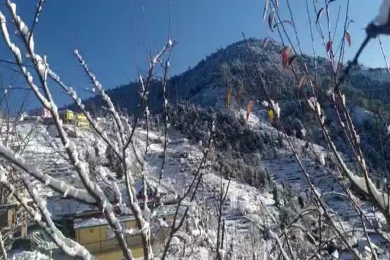 fresh snowfall at high hills of mandi district