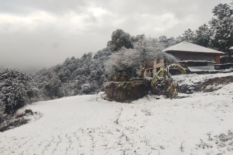 heavy snowfall in karsog after long time