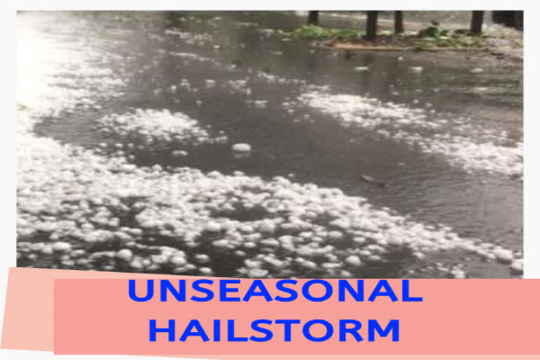 Rain, hailstorms in parts of eastern, central Maharashtra