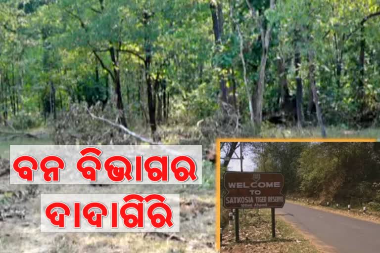 deforestation in angul satakosia, angul latest news, satakosia latest news, ସାତକୋଶିଆ ଲାଟେଷ୍ଟ ନ୍ୟୁଜ୍‌, ଅନୁଗୋଳ ଲାଟେଷ୍ଟ ନ୍ୟୁଜ୍‌, ଅନୁଗୋଳର ସାତକୋଶିଆରେ ଗଛ କଟା