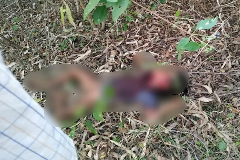 Five years old boy died in Leopard attack at tumkur