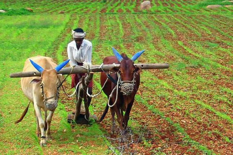 The state government says good news to the farmers