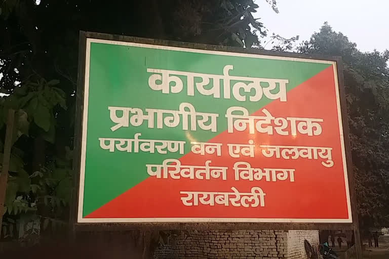 etv bharat