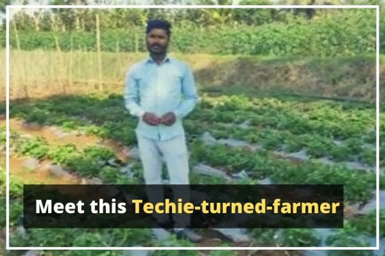 Karnataka techie-turned-farmer leads the 'organic' way