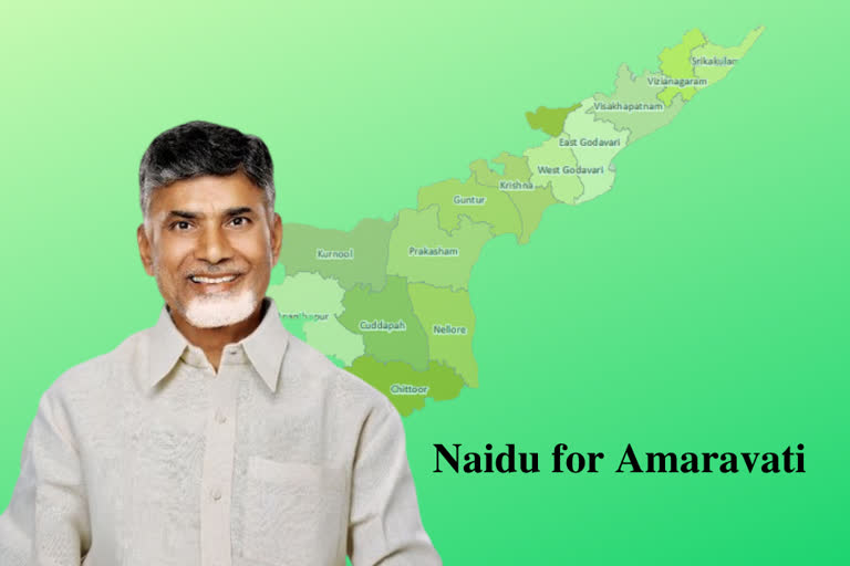 TDP  Amaravati  Chandrababu naidu  YS Jagan Mohan Reddy  #MyCapitalAmaravati  GN Rao Committee  എൻ ചന്ദ്രബാബു നായിഡു  തലസ്ഥാനം  ആന്ധ്ര തലസ്ഥാന രൂപീകരണം  വൈ.എസ്. ജഗൻ മോഹൻ  മുഖ്യമന്ത്രി വൈ.എസ്. ജഗൻ മോഹൻ റെഡ്ഡി