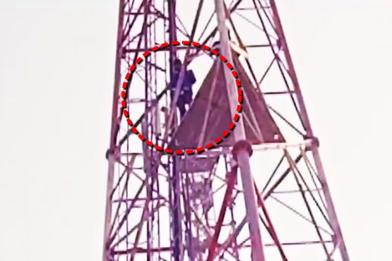 youths climbed mobile tower in Balhera, dausa news, दौसा में पंचायत परीसीमन का विरोध