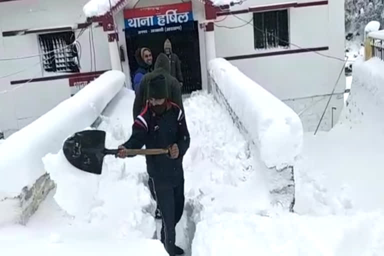 uttarkashi harshil valley snowfall updates , उत्तरकाशी में बर्फबारी न्यूज