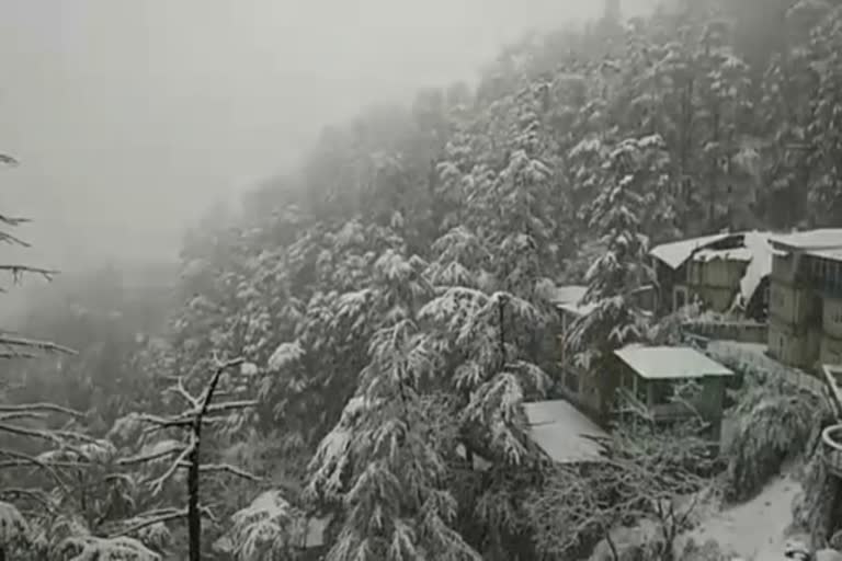 weather in Himachal