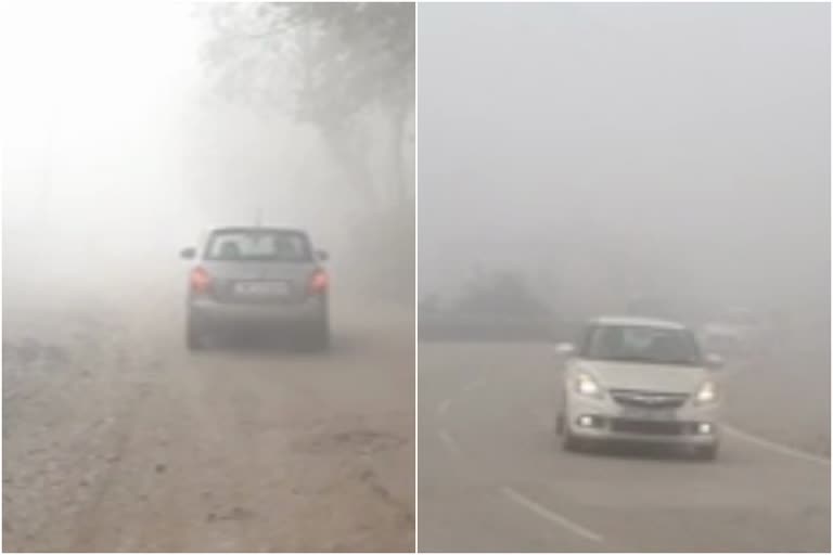 Fog and cold wave increased problems sunder nagar