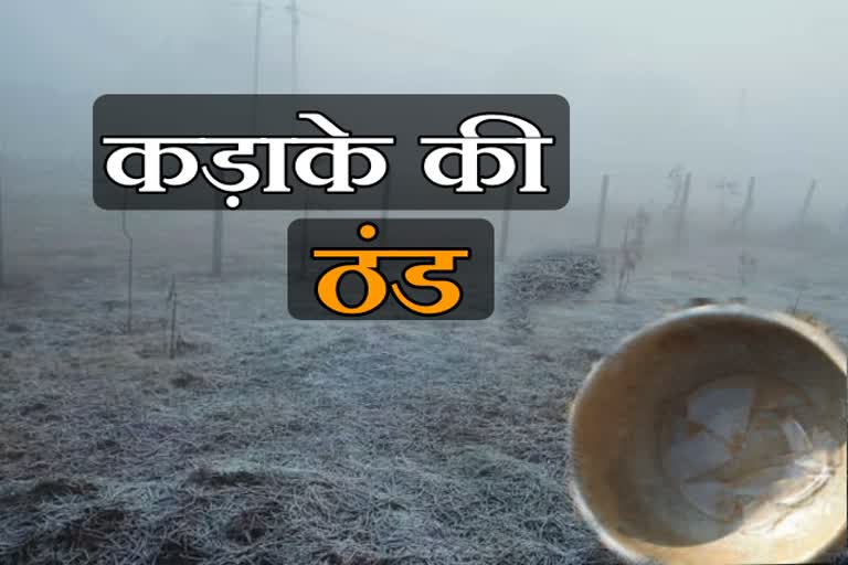 Severe cold in Bilaspur area