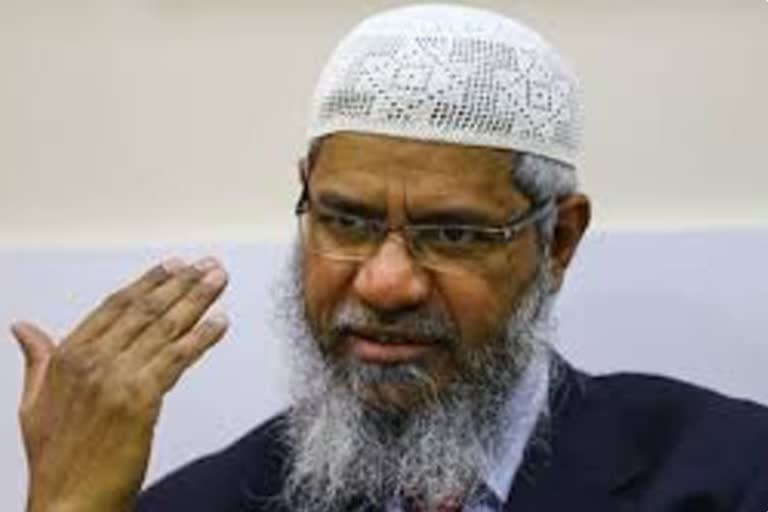 zakir naik speaks on narendra modi and amit shah