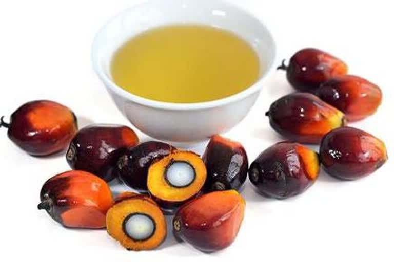 Palm oil is new weapon on Modi's foreign policy arsenal?