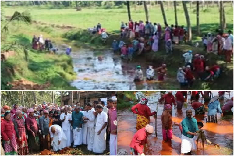 river  Haritha Kerala Mission  kasargod  water resources  water resources revives  ഹരിത കേരള മിഷന്‍  പുനരുദ്ധാരണം  ചെമ്മനാട് പഞ്ചായത്ത്  കാസർകോട്