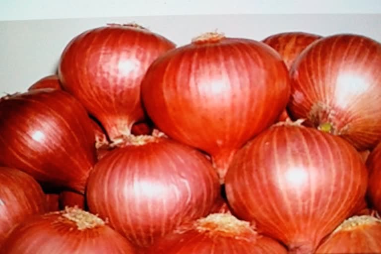 48 per kg onion