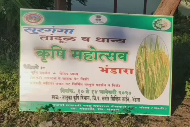 Bhandara farmers organised Rice and Grain fest on their own after agree dept failed to do so