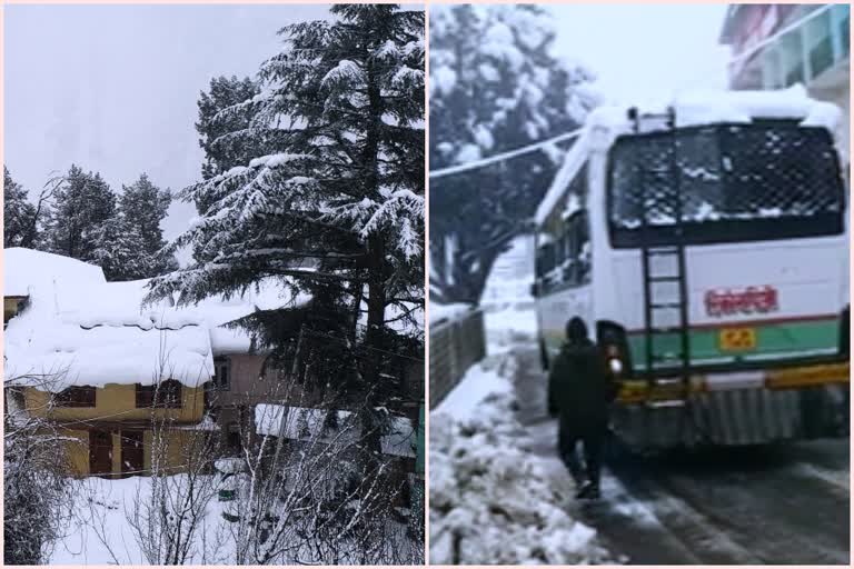 snowfall occurred in Kinnaur