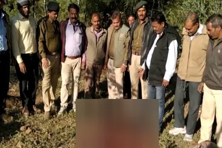 Dead leopard female recovered