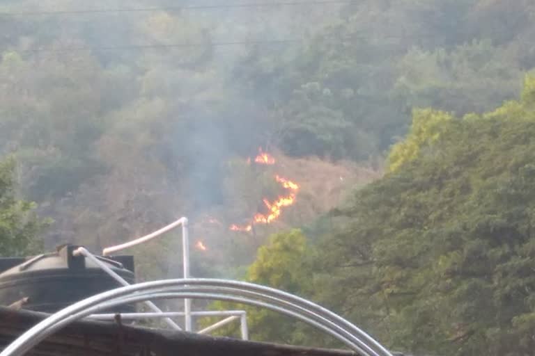 fire broke out in Sanjay gandhi garden in Thane