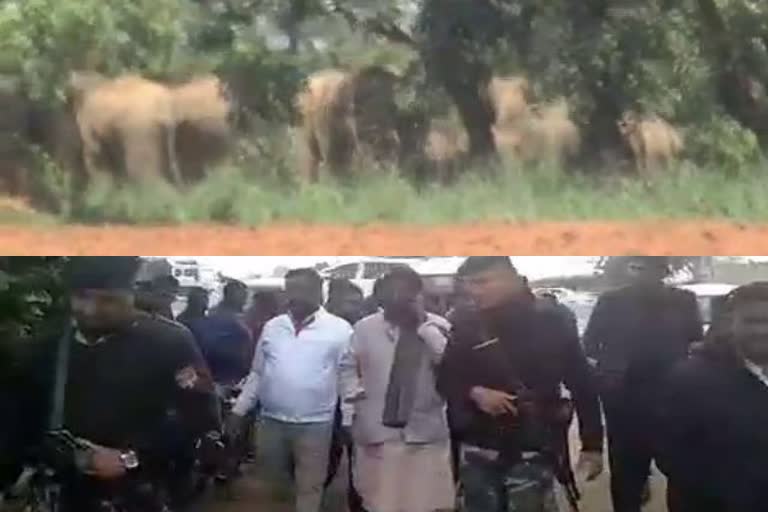 Elephant killed a farmer in khunti