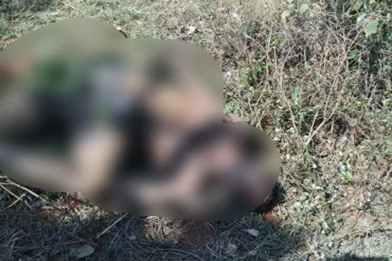 Man dead body found in Channagiri outskirt: Suspection of murder