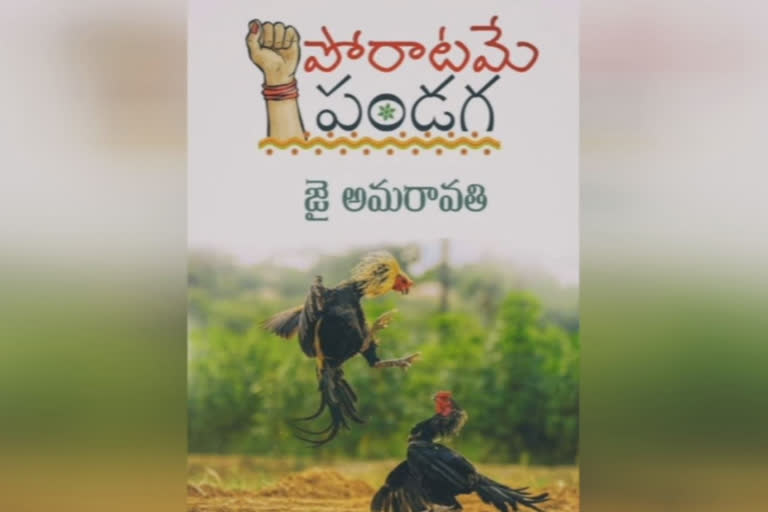 జోరు తగ్గదు...పోరు ఆగదు