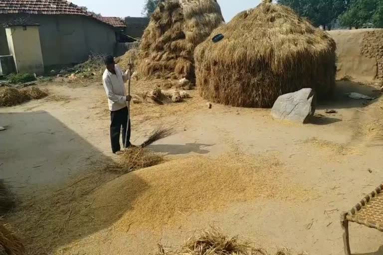 Drought stricken farmers have not yet received of compensation amount in jamtara
