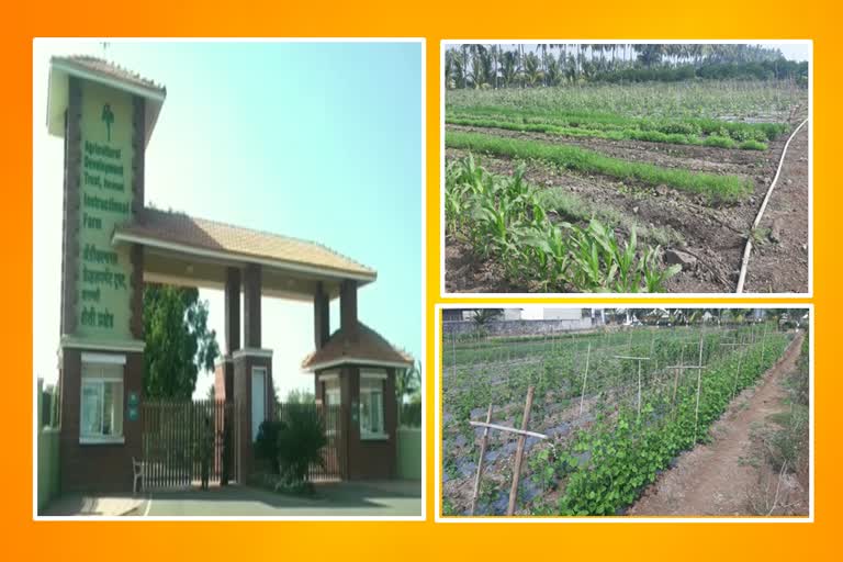 diffrents kinds of crops in one acre farm