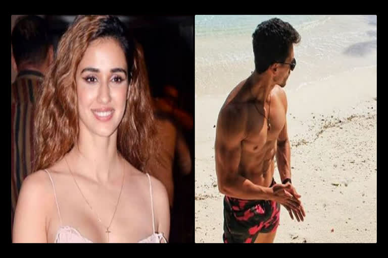 disha patani comments