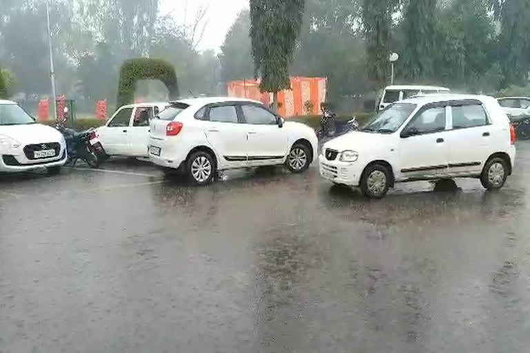 heavy rainfall in sirsa