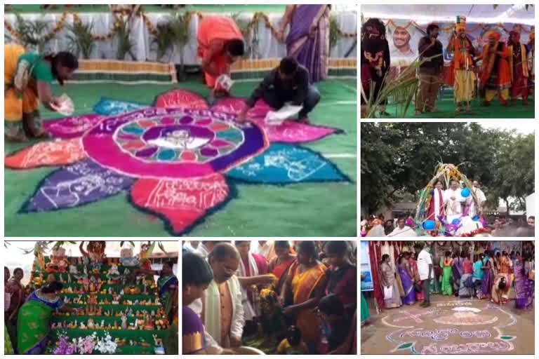 sankranti celebrations at krishna district