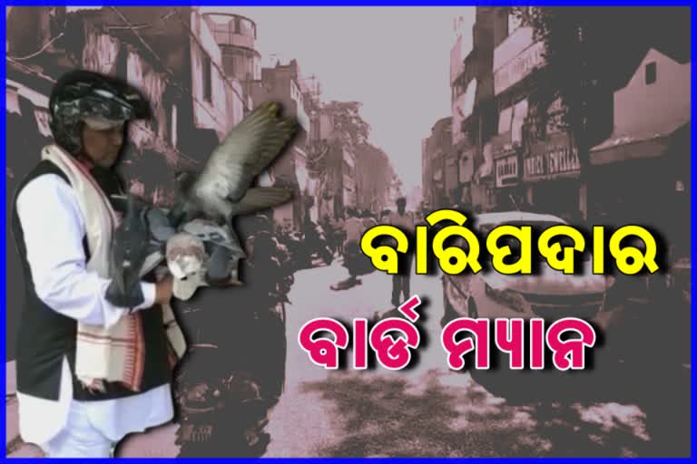 baripada's bird man, mayurbhanj's traffic police bird man, mayurbhanj latest news, ମୟୂରଭଞ୍ଜ ଲାଟେଷ୍ଟ ନ୍ୟୁଜ୍‌, ବାରିପଦାର ବାର୍ଡ ମ୍ୟାନ, ମୟୂରଭଞ୍ଜର ଟ୍ରାଫିକ ପୋଲିସ ବାର୍ଡ ମ୍ୟାନ