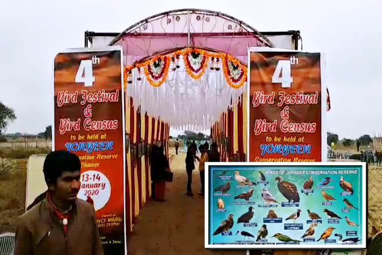 बीकानेर बर्ड फेस्टिवल में बारिश, Bird Festival held in Bikane, rain in bikaner bird festival