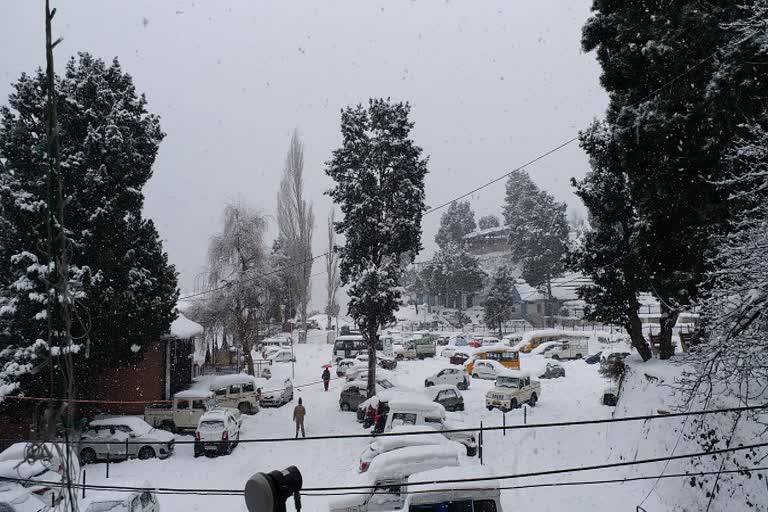 electricity problem in kinnaur due to snowfall