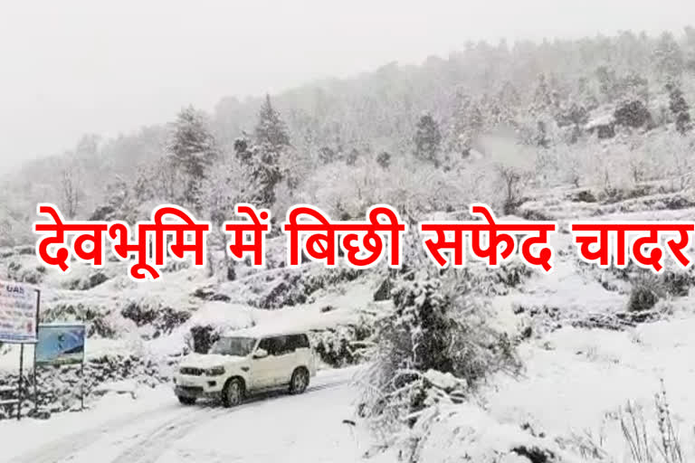 नैनीताल बर्फबारी समाचार, loss in nainital snowall news