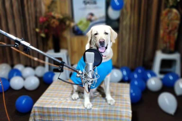 Indian cinema, dog is doing in the Indian cinema, dog dubbing in Indian cinema, ಭಾರತೀಯ ಚಿತ್ರರಂಗ, ಭಾರತೀಯ ಚಿತ್ರರಂಗದಲ್ಲಿ ಶ್ವಾನ ಡಬ್ಬಿಂಗ್, ಭಾರತೀಯ ಚಿತ್ರರಂಗದಲ್ಲಿ ಶ್ವಾನ ಡಬ್ಬಿಂಗ್ ಸುದ್ದಿ,