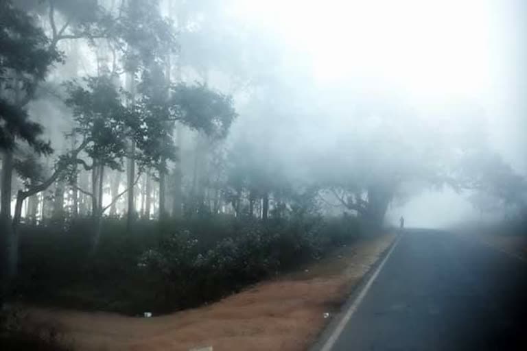 severe cold waves in odisha, cold waves, cold waves will continue till next 24 hours,  24 ଘଣ୍ଟା ମଧ୍ୟରେ ତାପମାତ୍ରା ଆହୁରି କମିବ, ଭୁବନେଶ୍ବର ଆଞ୍ଚଳିକ ପାଣିପାଗ କେନ୍ଦ୍ର, ଶୀତରେ ଥରୁଛି ସାରା ରାଜ୍ୟ