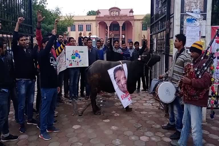 रेजिडेंट डॉक्टर अनूठा प्रदर्शन, Resident doctors protest