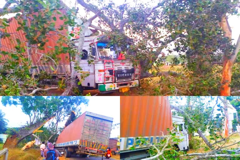 Container driver colliding with tree