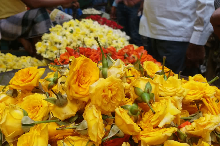 Flowers rise due to snowfall