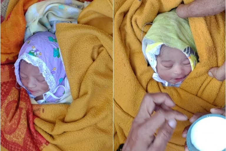 Two twin live babies found near pashan  Lake