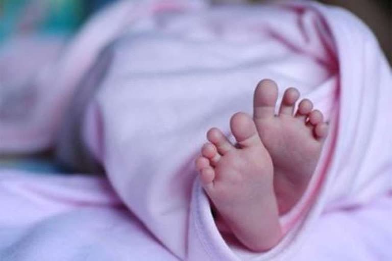 new born babies death panipat